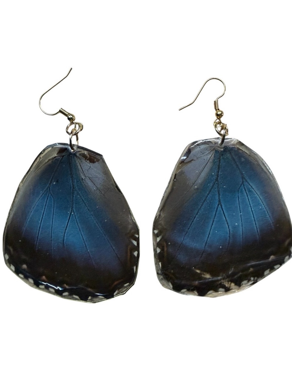 Real Blue Morpho Butterfly Wing Earrings. Hand made. Coated in resin.